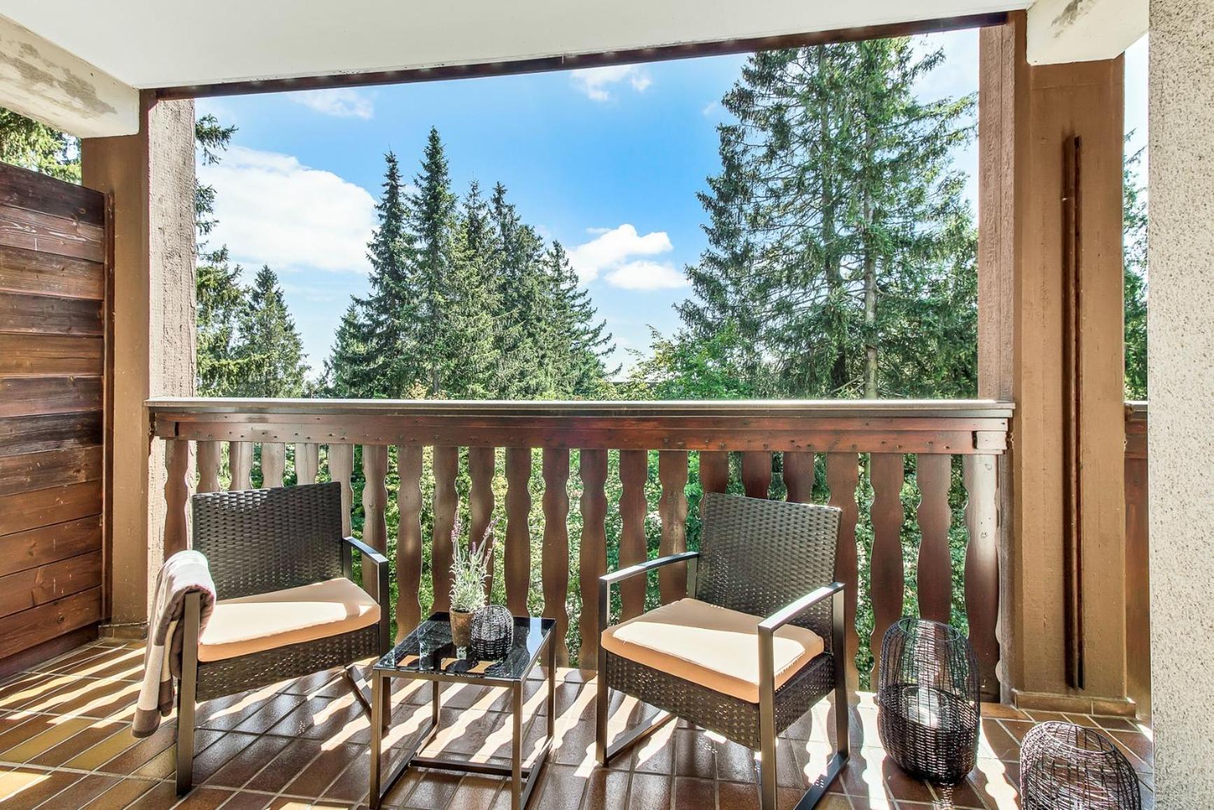 2 Bedroom Apartment Tokio And Sauna, 100M To Ski And Bikepark Winterberg Eksteriør billede